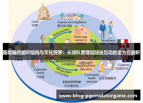 斯坦福桥组织结构与文化探索：从球队管理到球迷互动的全方位剖析